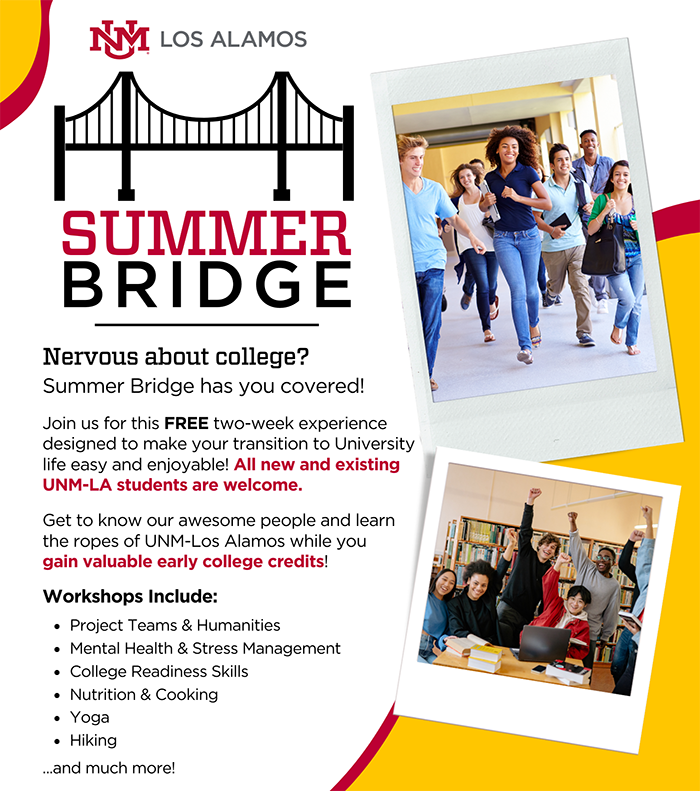 summer-bridge-flyer-website-3