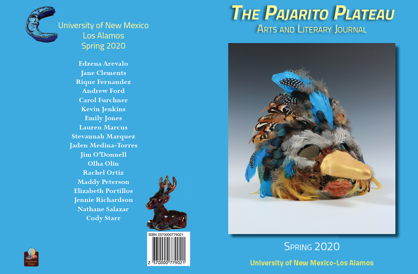 Cover and back of the Pajarito Plateau 2020