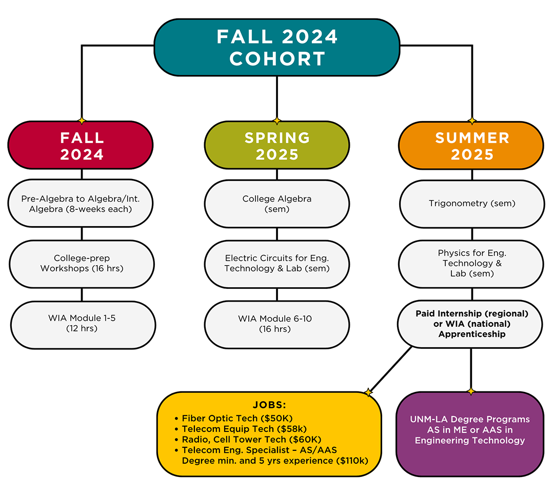 Flowchart for the Fall 2024 Cohort